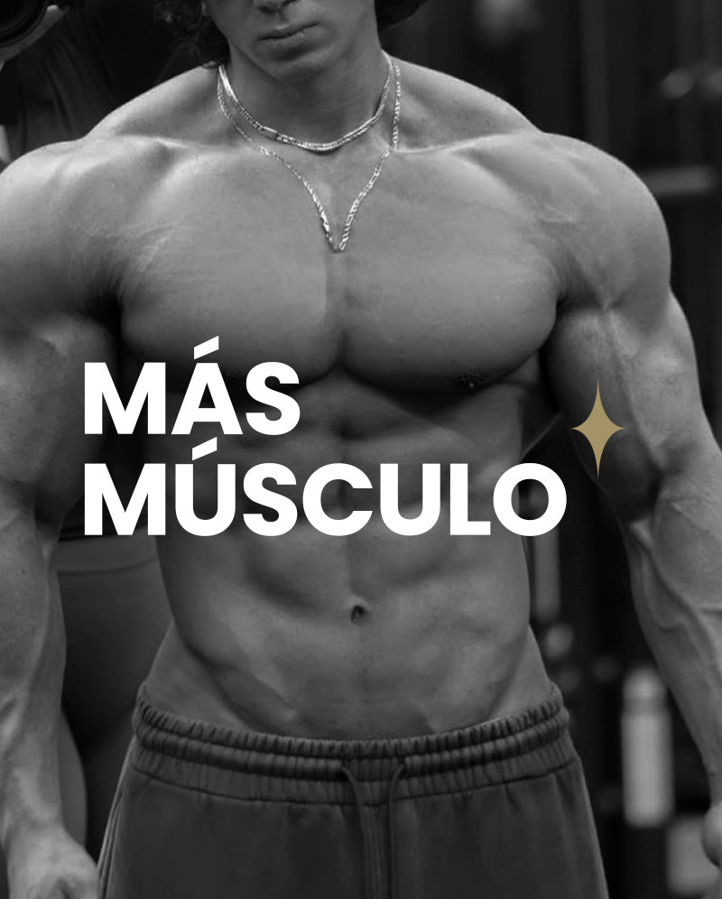 Entrenamiento y desarrollo muscular — Sense Fitness