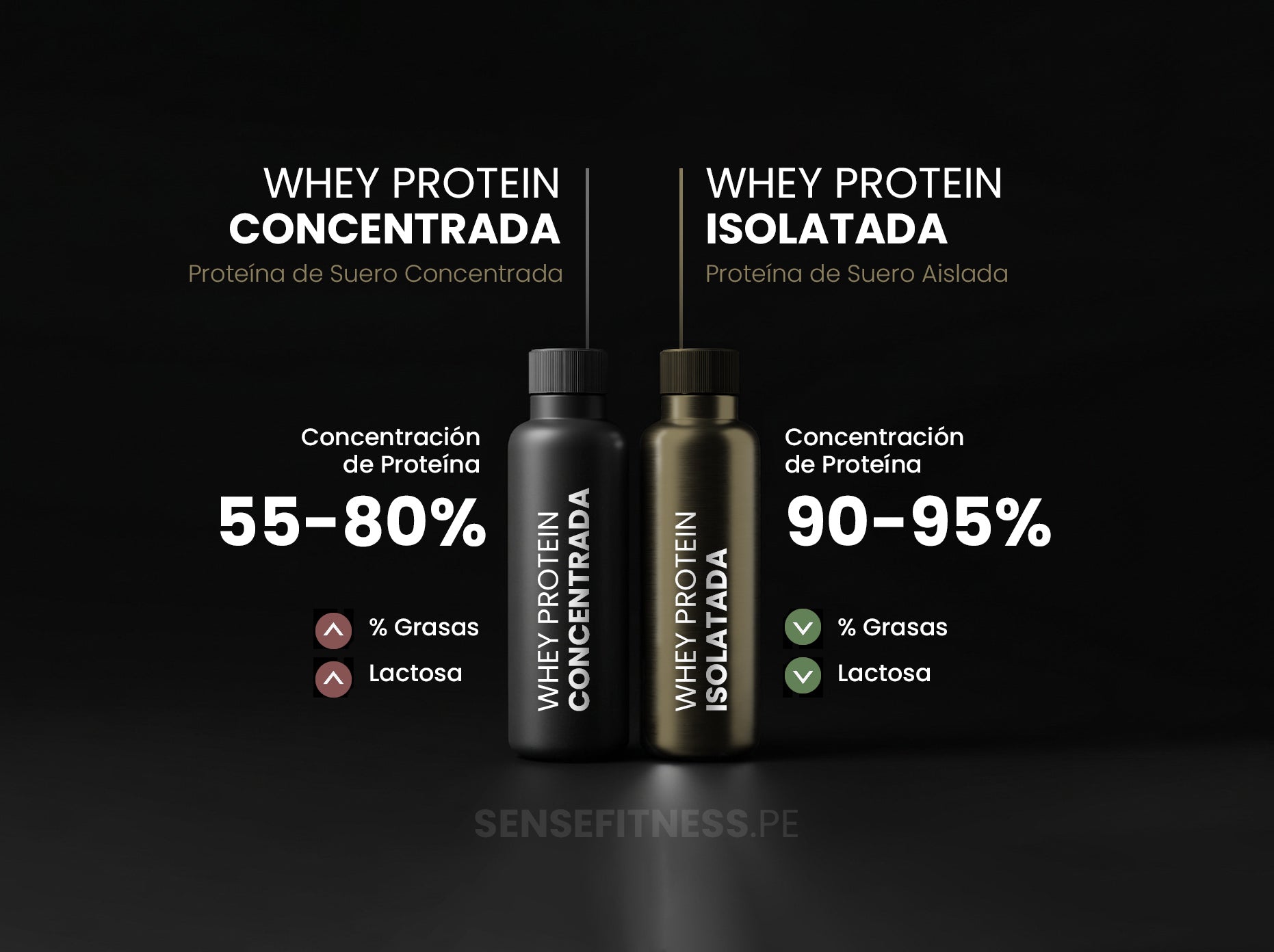 Diferencia entre Whey Protein Concentrate y Whey Protein Isolate